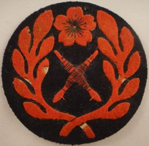 1st Class Petty Officer Hospital Corpsman Round Rate