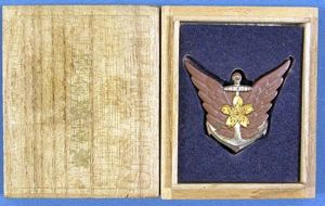 Cased Navy 2nd Class Aviation Proficiency Badge