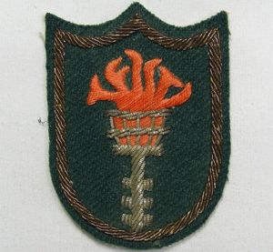 Korean Communication Zone Bullion Patch