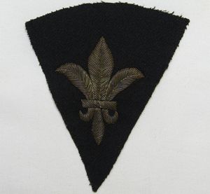 WWI District of Paris Bullion Patch