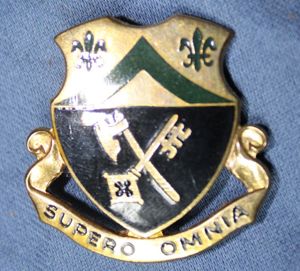 81st Armored Crest DI