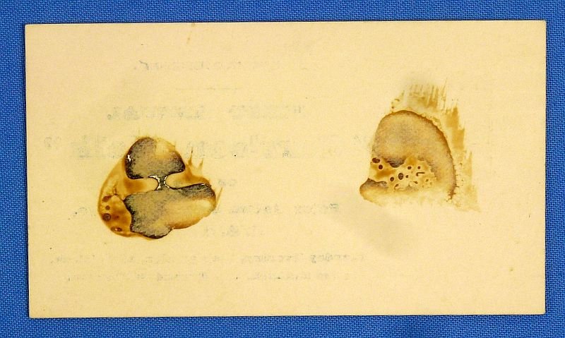 'Garrison Talk' Ticket of a Boston Army and Navy Union Post — image 2