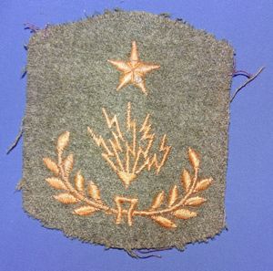 1908 Master Electrician Chevron