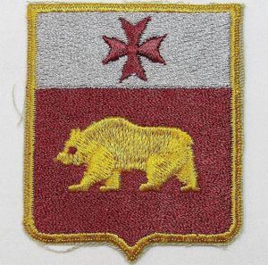 1st Medical Battalion Patch