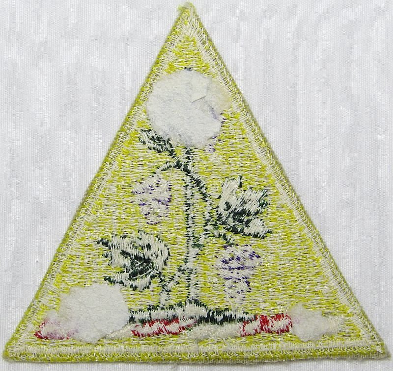 Connecticut National Guard Patch — image 2