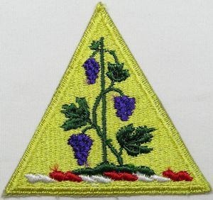 Connecticut National Guard Patch