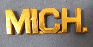 Gilt Michigan Officer's Collar Insignia