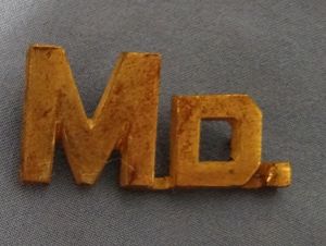 Gilt Maryland Officer's Collar insignia