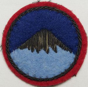 Theater Made Bullion Far East Command Patch