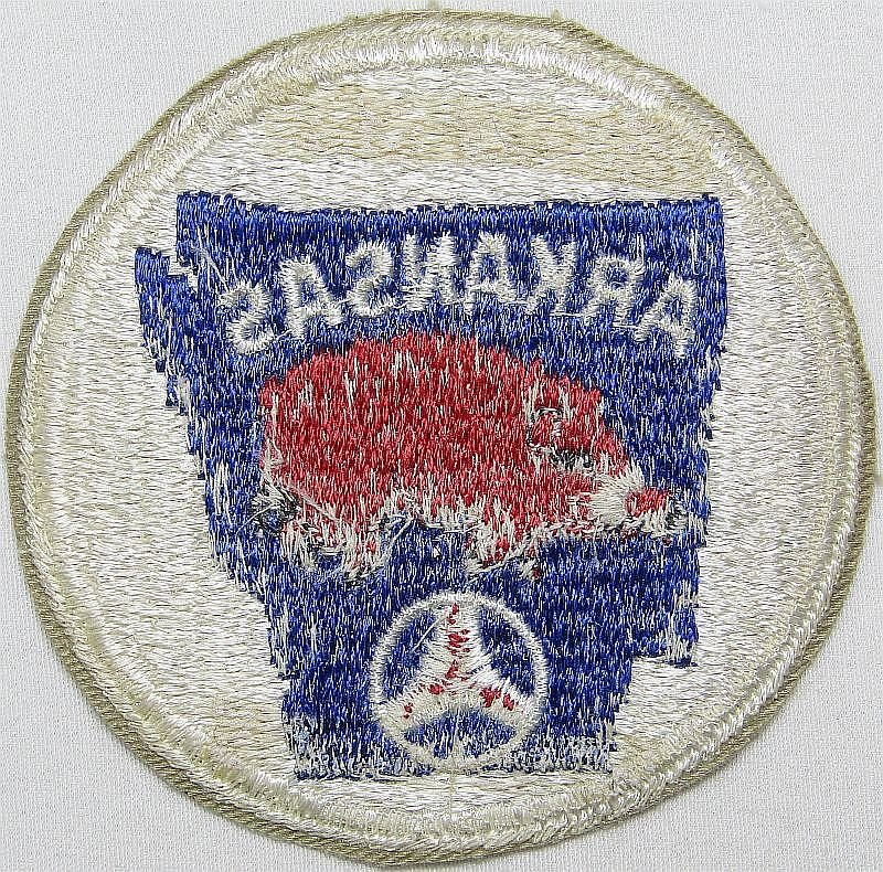 Arkansas Civil Air Patrol Patch — image 2