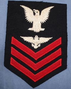 1st Class Aviation Pilot