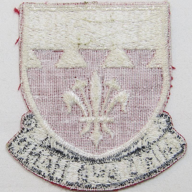 169th Engineer Battalion Patch — image 2