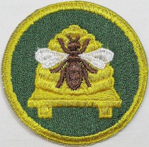 Utah National Guard Patch