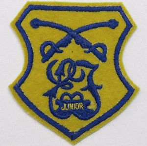 Junior Essex Troop Patch on Wool