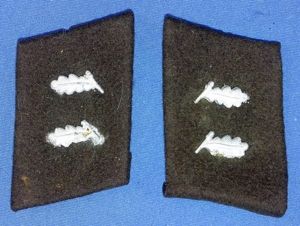 Pair of Third Reich Private Forestry Service Forstaufseher Collar Tabs