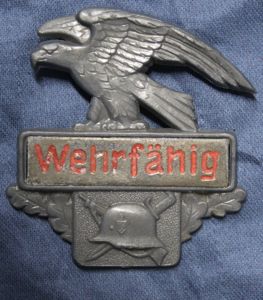 Wehrfahig Plastic Tinnie