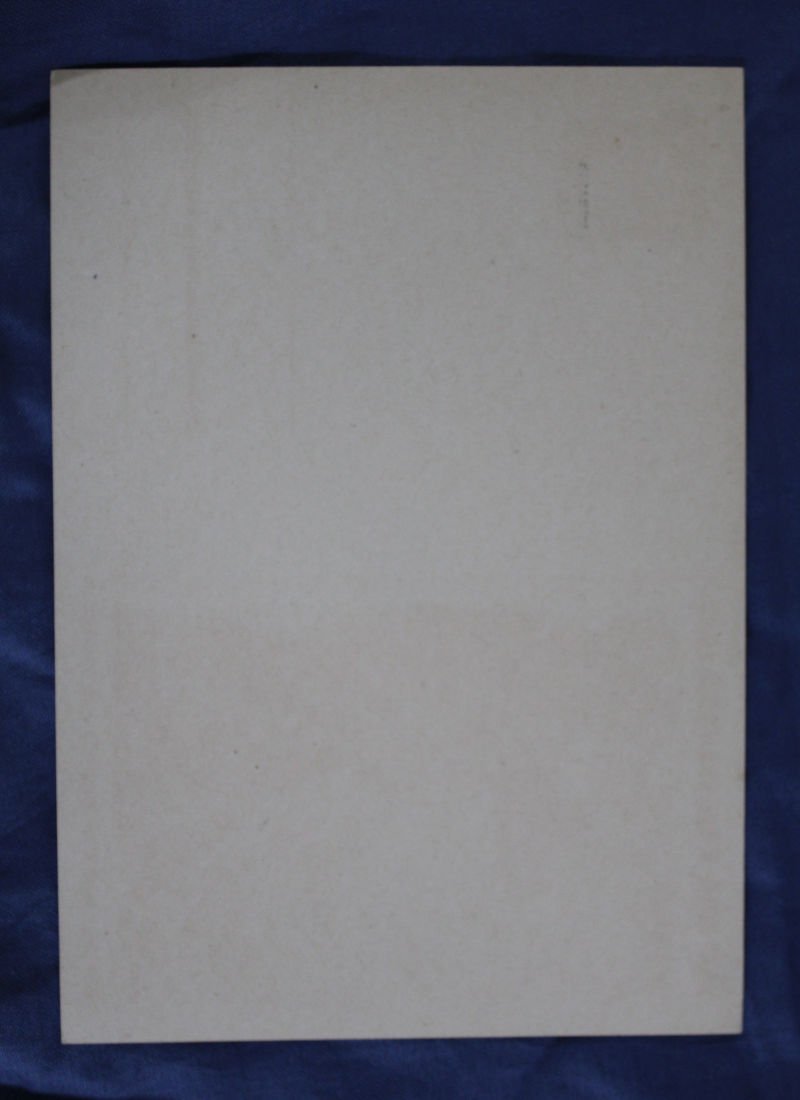 WWII German Africa Corps Postcard — image 2