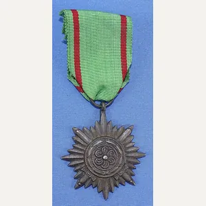Third Reich Eastern Peoples Medal 2nd Class in Gold with …
