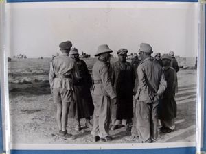1942 Official Photograph: Afrika Korps Luftwaffe Flak Officers
