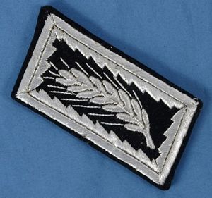 Single RAD Reichsarbeitsdienst Labor Service Oberstarbeitsfuhrer Collar Tab