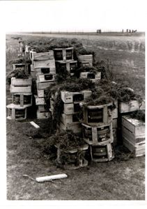 Photograph of German Mines at Prokissel Belarus, Nov 10, 1943 …