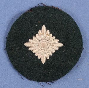 Germany Army Oberschutze Rank Insignia
