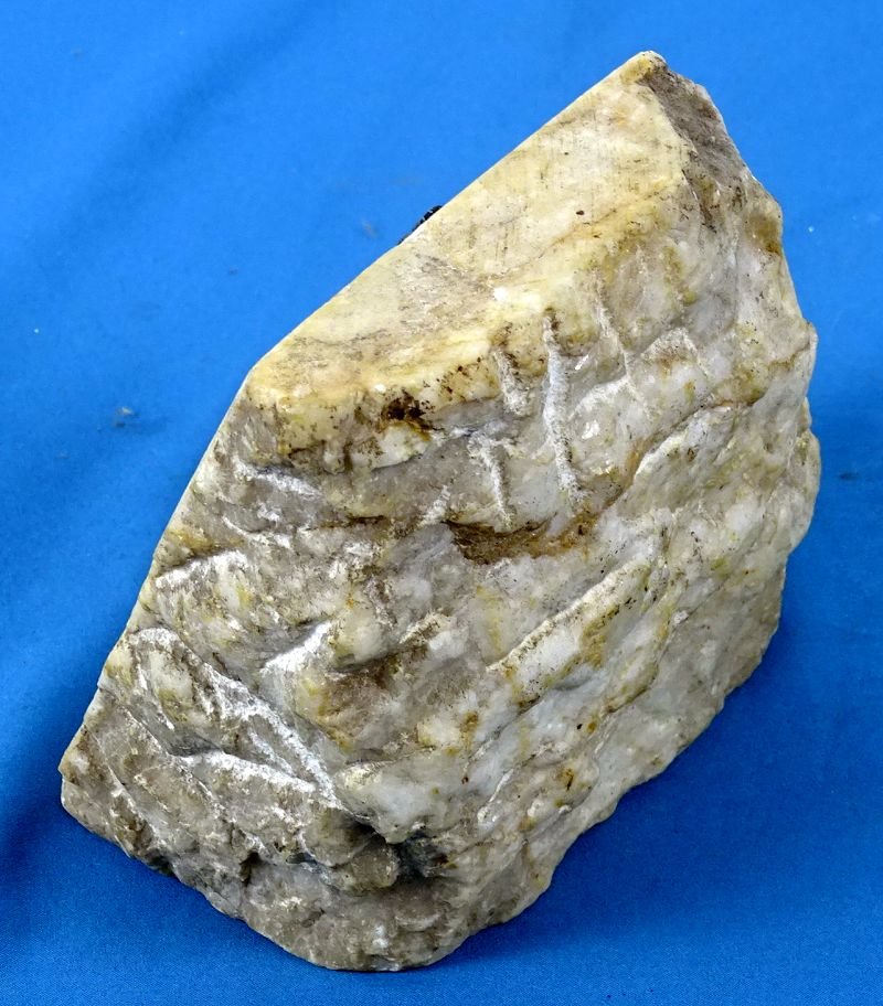 1916 Imperial German Desk Display Piece — image 3