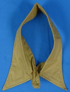 Third Reich Political Organization Brown Shirt Collar