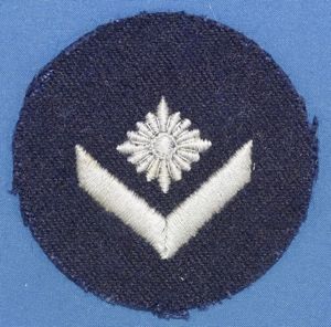 Marine Hitler Youth Oberjugenschaftsfuhrer Rank Insignia