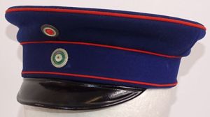 Imperial German Saxon Medical Officer Visor Cap