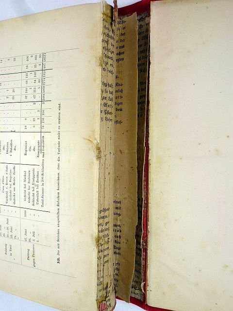 Austria Army 4th Rgt. 'Hoch und Deutschmeister' History — image 8