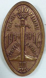 WWI Tinnie: 310th Infantry Regiment Strypa Front