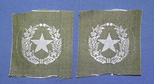 WWII Japanese Army Officer Cadet Collar Insignia Pair