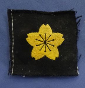 WWII Japanese Navy Special Training Sleeve Patch