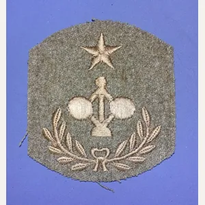 WWI Coast Artillery Corps Engineer Chevron