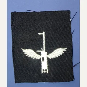 WWII Navy Aerial Gunner Specialty Mark Patch