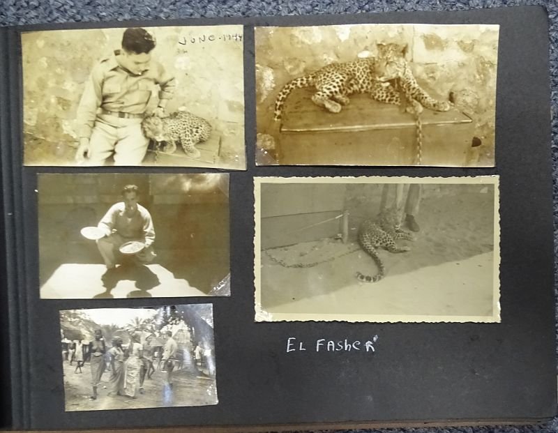 WWII Army Air Force North Africa, Middle East & Iran Photograph Album — image 5