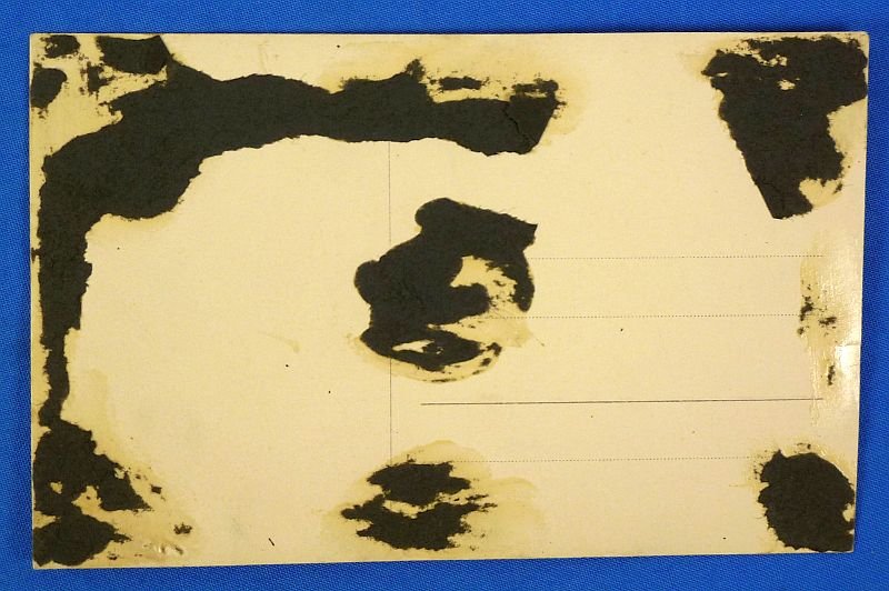 DLV and Luftwaffe Portrait Photograph — image 2