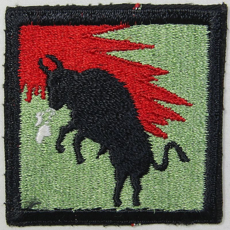 Some Kind of Military Patch