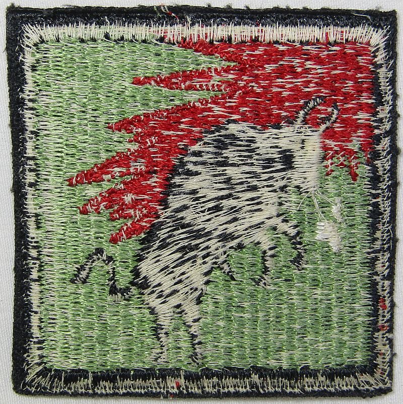 Some Kind of Military Patch — image 2