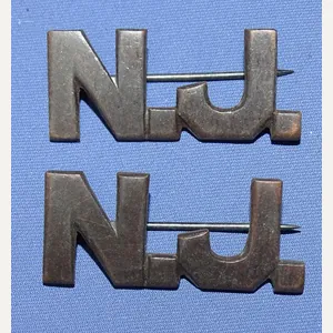 Pair WWI New Jersey Officer's Collar Insignia