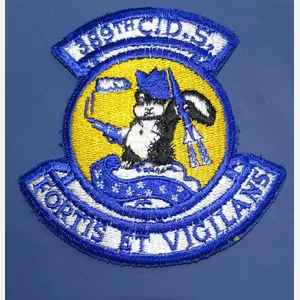 USAF 389th Combat Defense Squadron Patch