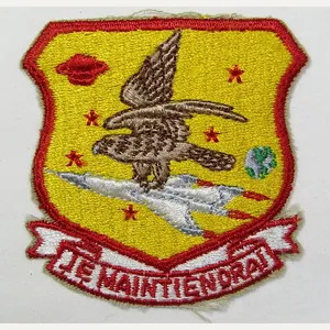 USAF Patch