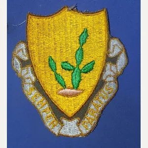 1950s- Vietnam Era 12th Cavalry Regiment Pocket Patch