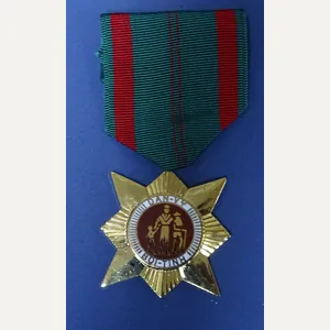 Vietnam RVN Civil Action Medal