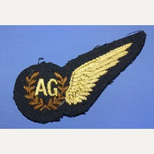 WWII RAF Air Gunner Wing