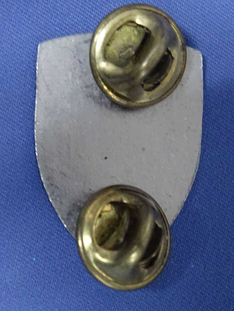 187th Airborne Regimental Combat Team Patch Type DI/Crest — image 2