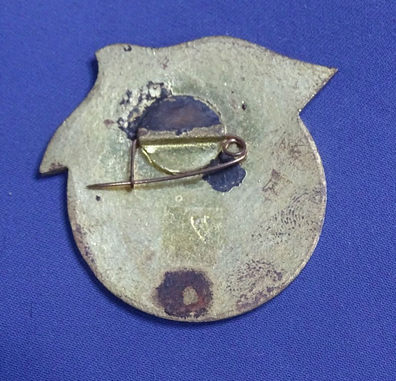 Vietnam Chien Dich Ho Chi Mihn Badge — image 2