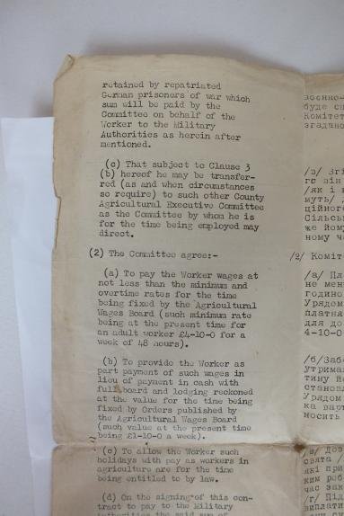 14TH SS-UKRAINIAN RELATED PHOTOS AND DOC — image 5