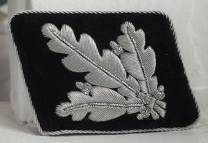 SS-BRIGARDFUHRER SINGLE COLLAR TAB